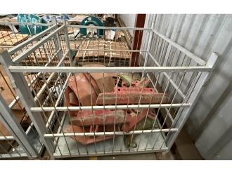 Lot 2295