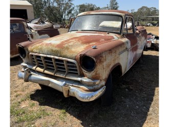 Lot 142