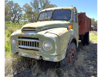 Lot 135